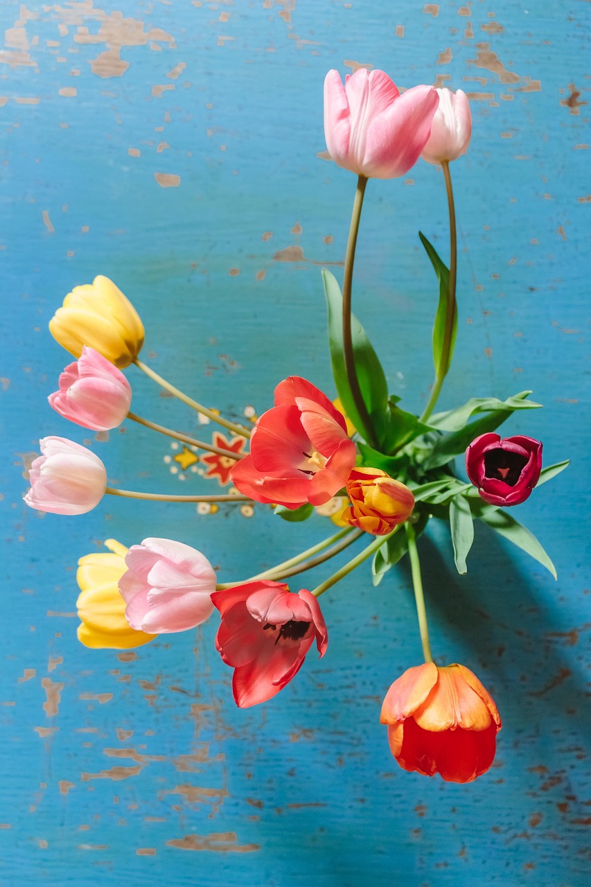flowers, nature, tulips, spring, thank you, flower background, beautiful flowers, flower wallpaper, happy mothers day, get well soon, congratulations, greeting card, blossoms, anniversary